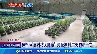 市價20億史上最大宗 破無塵室大麻種植場｜三立新聞網 SETN.com