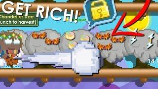 How To Get Rich FAST In HARVEST FEST 2018 - Growtopia