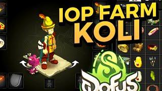 Le IOP FARM KOLI  HUZ VOD DOFUS