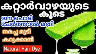 Natural Hair Dyeകറ്റാർവാഴയുടെ കൂടെ ഈ പൊടി ചേർത്താൽ മതി എത്ര നരച്ചമുടിയും താടിയും കറുക്കും#trending