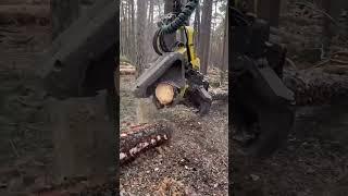 Monster Woodchopper Machinery in Action.