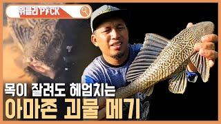 괴물 메기  185 KBS_361회_2024.6.22.방송