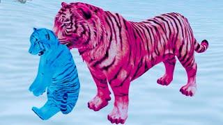 Симулятор Семьи Белого Тигра #2 Розовый тигренок Кида и Новые Уровни в Симе дикой кошки на Пурумчата
