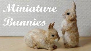 Miniature Bunnies  Rabbits - Polymer Clay Tutorial