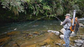 This Is The BEST way to FLY FISH   Big Trout Eating Giant Streamers