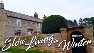 Slow Living Silent Vlog  Winter English Life  Cozy Lifestyle  Simplified Living