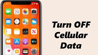 How To Turn OFF Cellular Data Mobile Data On iPhone