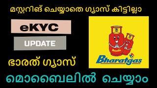 ഗ്യാസ് മസ്റ്ററിങ് വീട്ടിലിരുന്ന് ചെയ്യാം  gas mustering malayalam  bharat gas kyc online