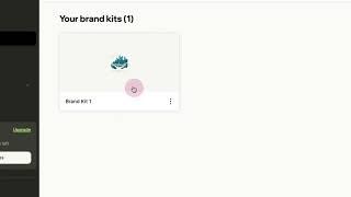 How to access your Brand Kit assets?