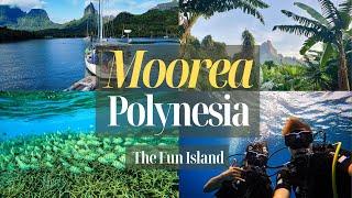 Moorea the most fun island in French Polynesia  Best things to see and do in a week?