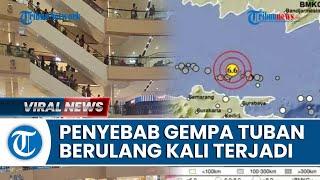 Penyebab Gempa Tuban Hari Ini Terbaru Gempa Susulan M 66 Terasa di 4 Provinsi