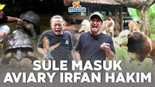 HAPPY NYA IRFAN HAKIM KETIKA SULE MASUK AVIARY