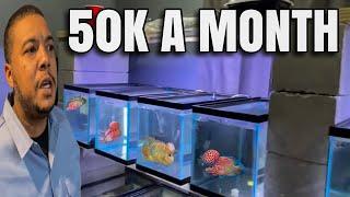 He Makes 50KMonth Selling Rare Flowerhorn Fish From Home