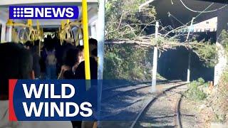 Light rail carriage hit by fallen tree as damaging winds blast Sydney  9 News Australia