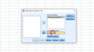 How to do an independent samples t-test on SPSS