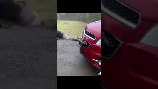 YANKING A TURKEY CAUGHT IN CARS GRILL  Sweedy Ice
