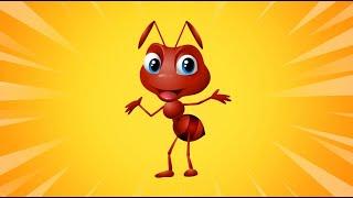 Hayvanları Tanıyalım ve Öğrenelim Karınca Şarkısı Eğitici Hayvanlar Videosu  Kango Çocuk