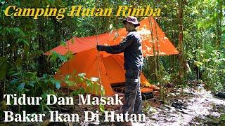 Not Solo Camping Overnight Narkata Jungle  Masak dan Makan Di Hutan Belantara Borneo