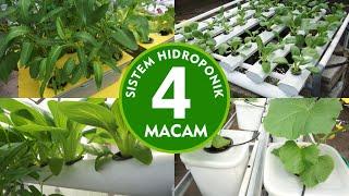 4 Sistem Hidroponik yang WAJIB Kamu Tahu  4 System of Hydroponics