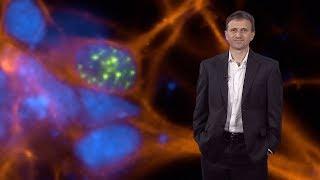 Bench to Bedside Drug Discovery in Neuroscience - Ricardo Dolmetsch