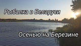 Рыбалка в БЕЛАРУСИ. Осеняя рыбалка на реке БЕРЕЗИНА. рыбалка на фидер рыбалка 2022