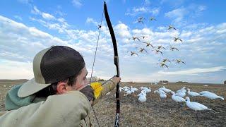 Snow GOOSE HUNTING Using a RECURVE BOW 160 BIRD HUNT