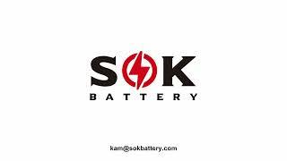 How to do LiFePO4 battery capacity testing for the SOK 12V 100Ah Battery?