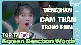 Certified KDramaholic Level 3 Korean Slangs & Phrases for REACTION  Dramaholics Dictionary Ep.3