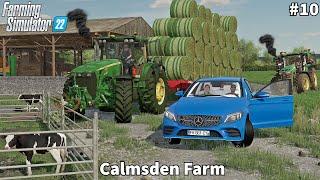 Placing Calf & Feeding Cows Collecting & Storage Hay Bales │Calmsden│FS 22│Timelapse#10
