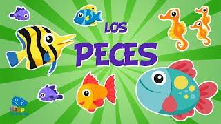 Los Peces    Vídeos Educativos para Niños