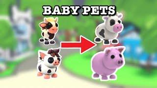 How To Get *NEW* BABY PETS in Adopt Me