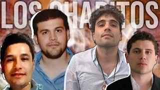 Los Chapitos  Sinaloa Drug Cartel  El Chapo & Sons  2024 Update