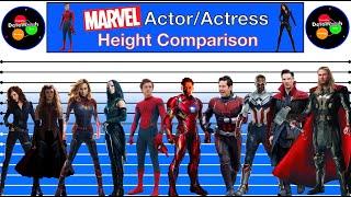Hollywood Height Comparison  Marvel Actors