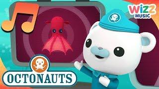 The Epic Vampire Squid Song  Songs for Kids  Octonauts  Wizz Music