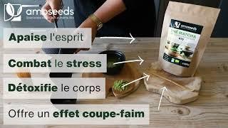 Thé Matcha Japonais Bio  Amoseeds  Qualité Supérieure