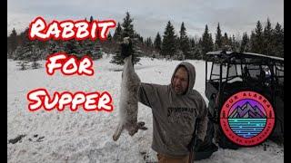 Rabbit Hunting in Alaska  Cooking Snowshoe Hare for Dinner