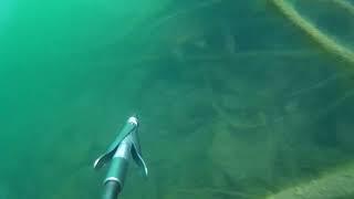 озеро гижгит подводная охота