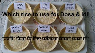 Which rice to use for making Dosa or Idli dosa recipe rice urad dal ratio Best Rice for Dosa