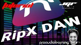 RipX DAW un tool mostruoso per i DJ e per i Producer moderni. Tutorial ITA