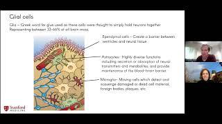 Intro to Neurophysiology