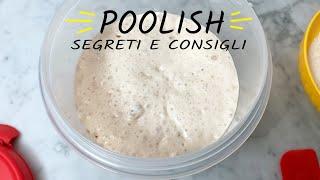 Tutti i segreti per un poolish sempre perfetto Garantito