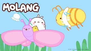 Molang - We shrank Molang    More ⬇️ ⬇️ ⬇️