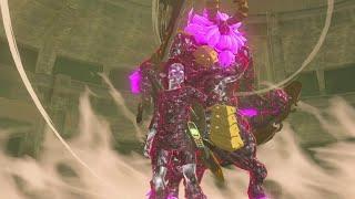 Malice Link Tunic and Malice Lynel fight in Breath of The Wild