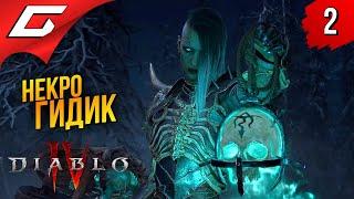 ПОВЕЛИТЕЛЬ ТРУПОВ  Diablo 4 IV Диабло 4 ◉ Прохождение 2