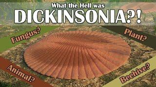 What the Hell was Dickinsonia?