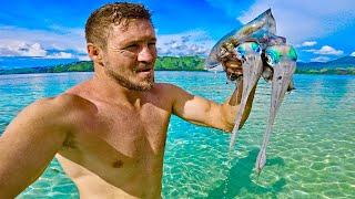 Tropical fish and Squids catch and cook Full Day vlog Find a Wild Cat