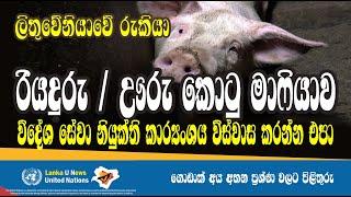 Lanka U  ලිතුවේනියා මාෆියාව