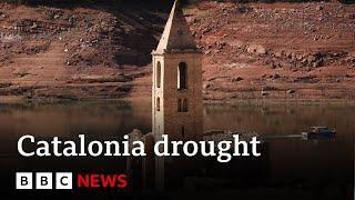 Spain’s Catalonia region in worst drought in decades - BBC News