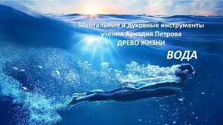 Ментальные и духовные инструменты учения А.Н. Петрова ДРЕВО ЖИЗНИ ВОДА ВОДА БОЖЕСТВЕННОГО СОЗНАНИЯ