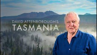 David Attenboroughs  Tasmania  Weird and Wonderful